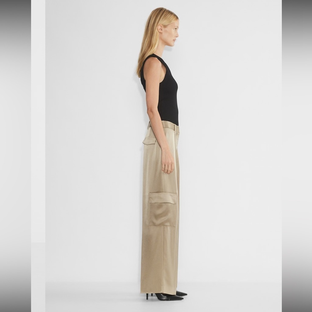 Aritzia Babaton Outgoing Satin Cargo Pant - Picture 3 of 14